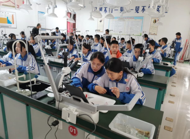 教育的应然关联实然疏离构成了当前教育改革的核心张力